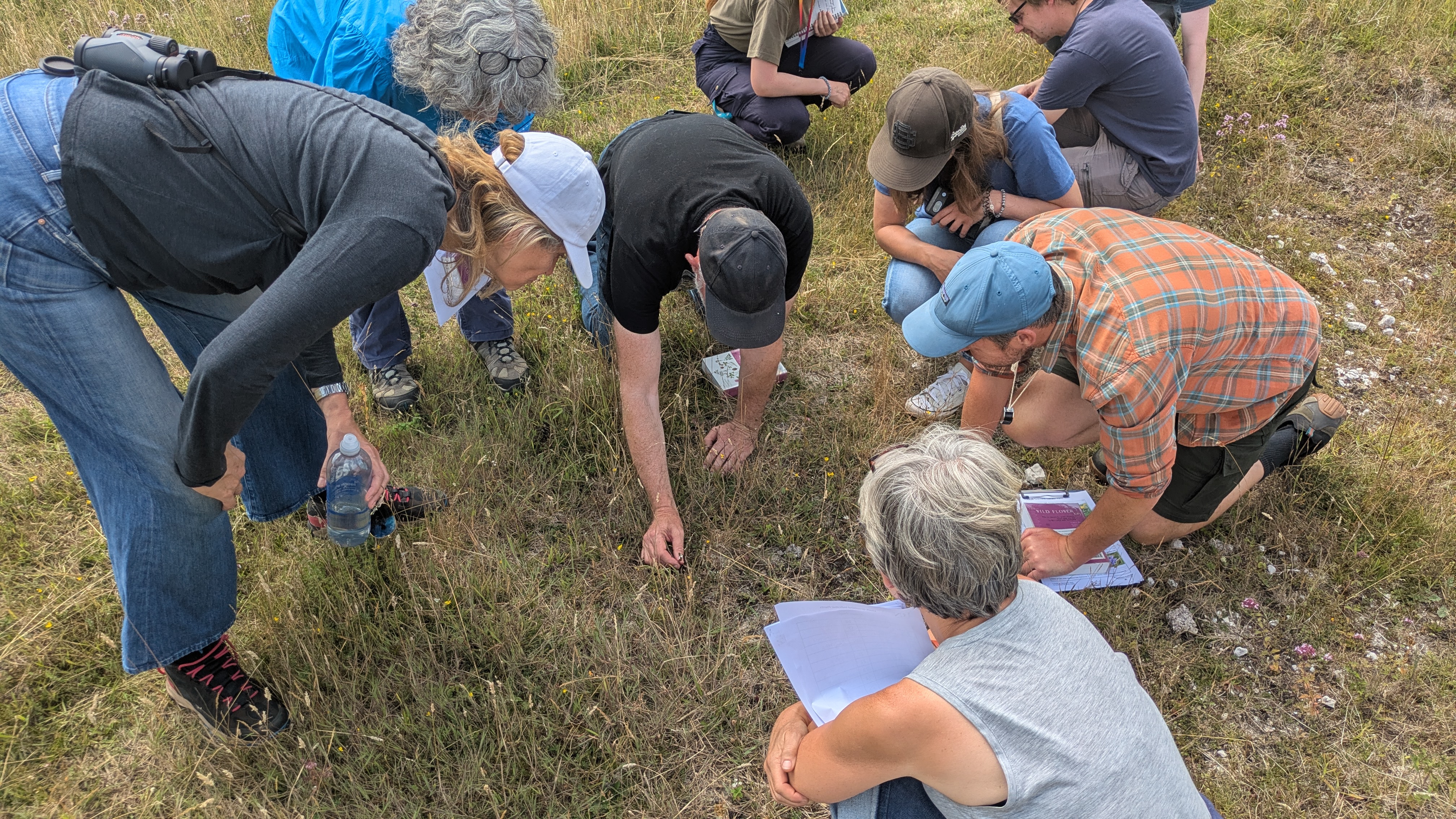 NPMS chalk grassland training, 2025