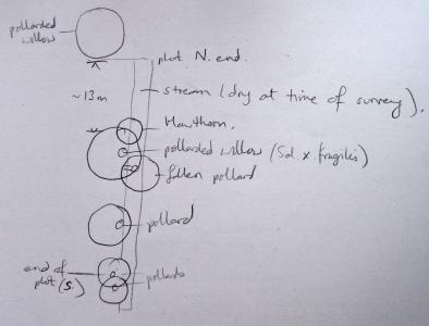 Plot sketch