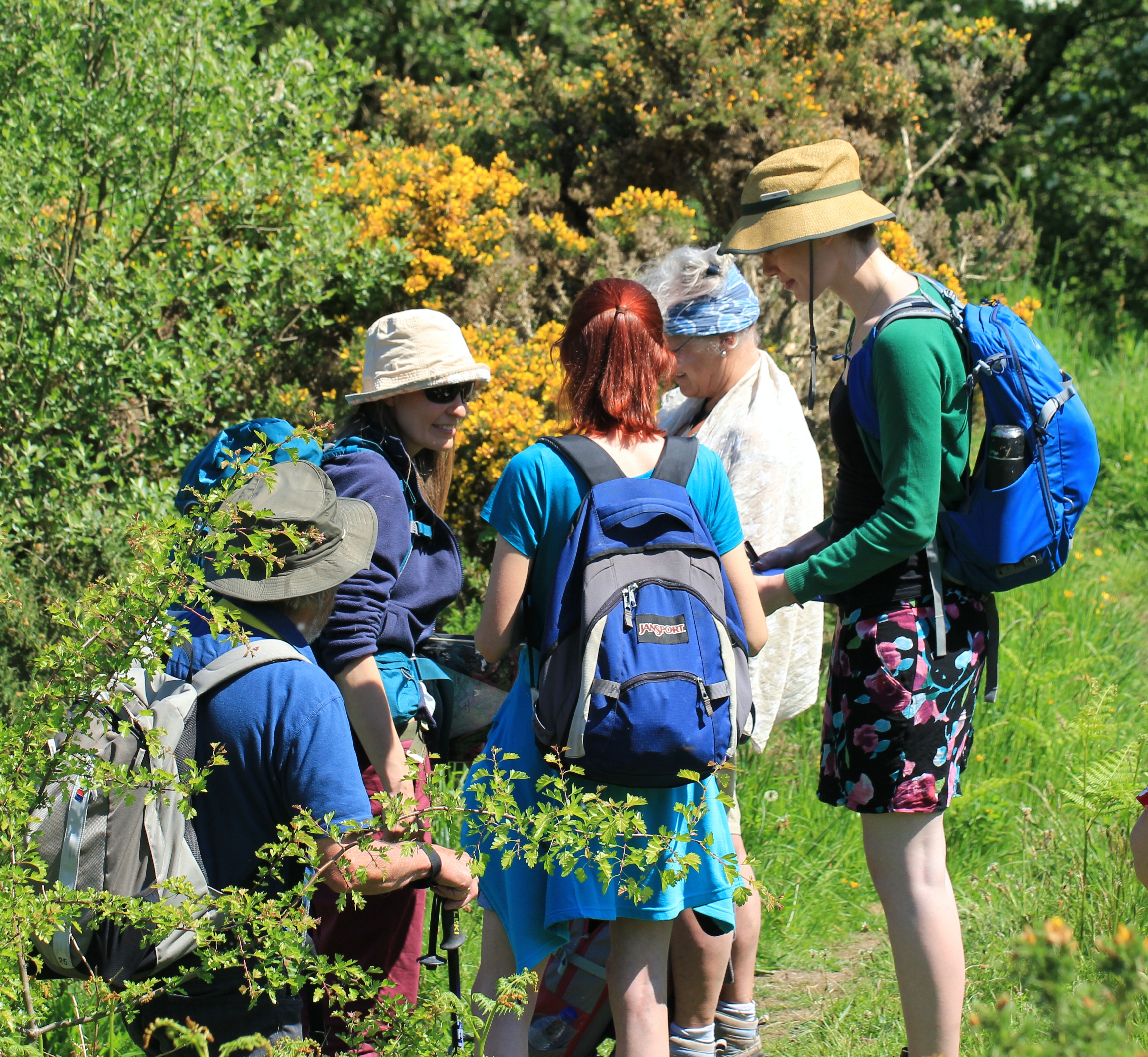 A group of people with rucksacks out recording wildflowers
