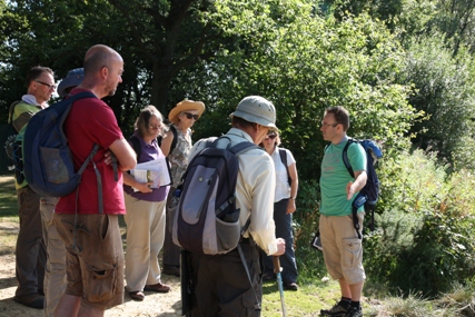 Volunteers surveying