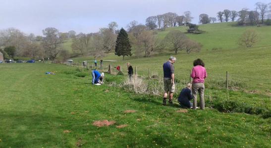 Setting up a stream plot on NPMS training