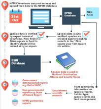 NPMS data flow detail